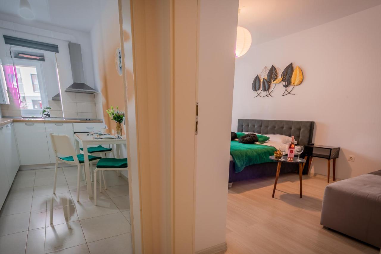 Coresi Vibe Studio Brasov Exterior photo
